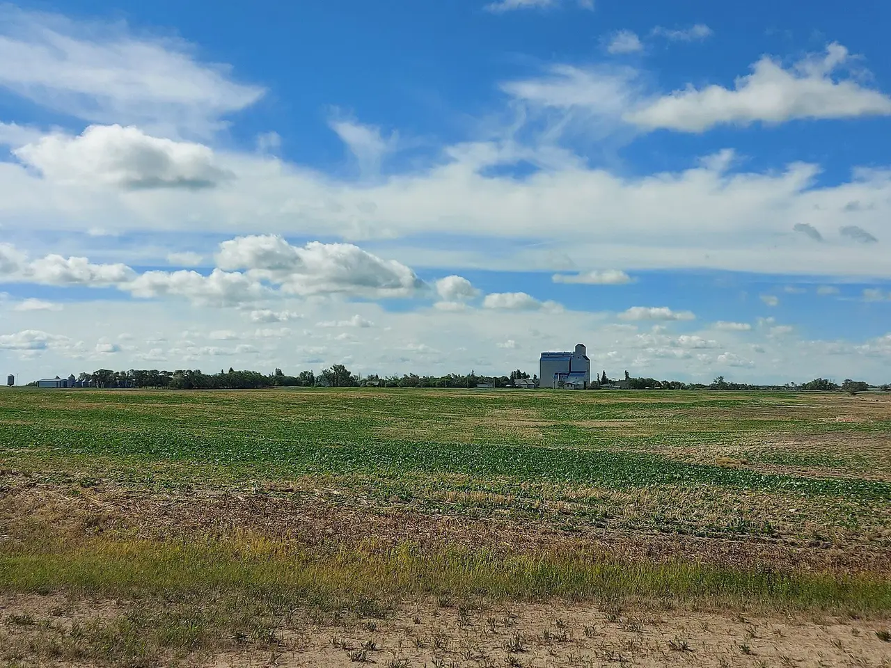 Grain elevator and fields seen from Highway 13, 2021