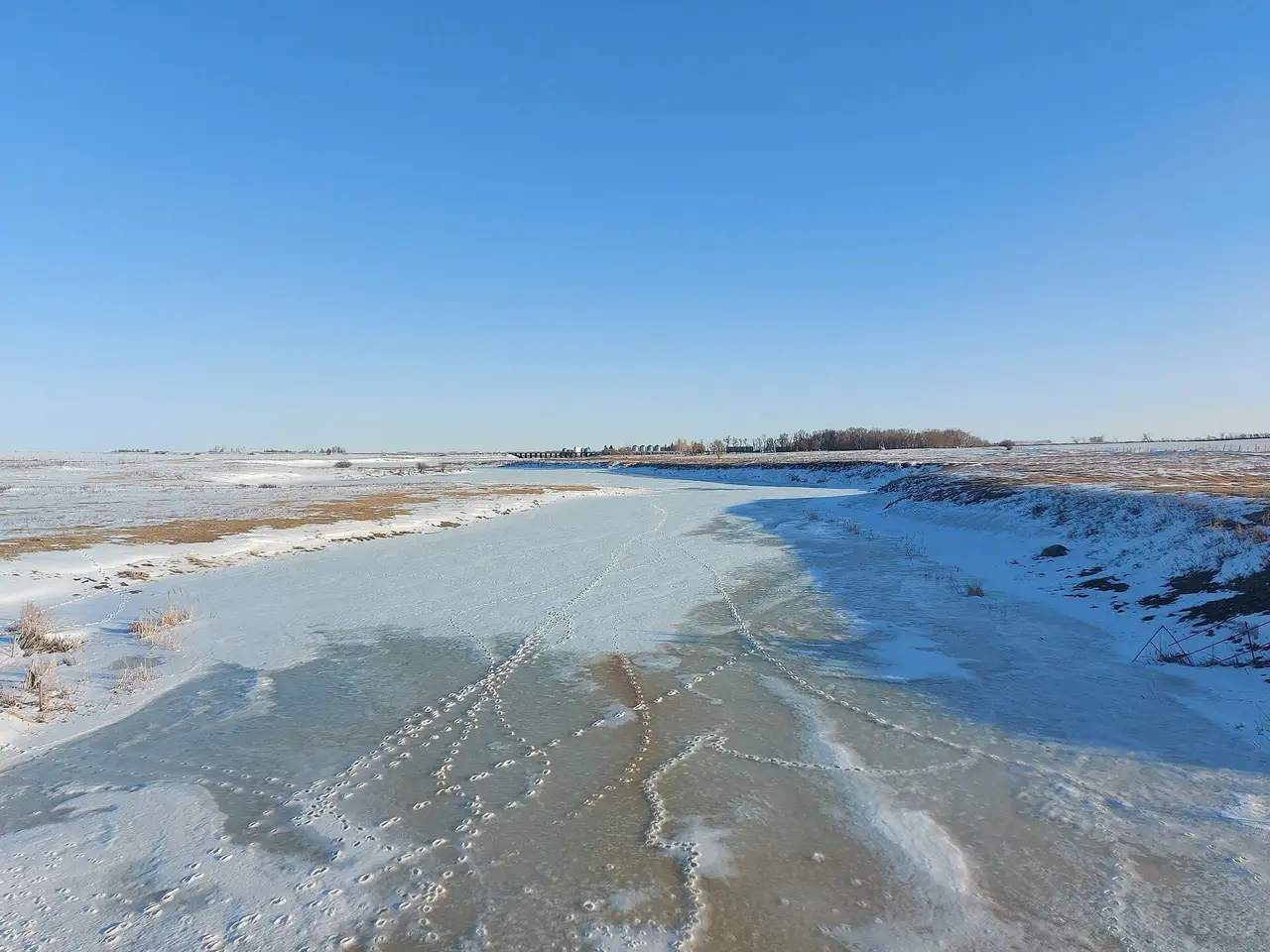 Frozen Gainsborough Creek in winter, 2022